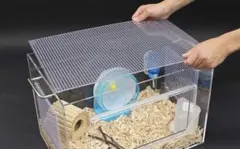 レンダリング様 リクエスト 2点 まとめ商品