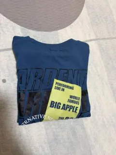 Item thumbnail for item 7f3cfb61-69ea-4a71-a769-aa3faf4e9922