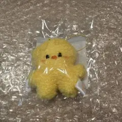 2026年最新】SKzoo ポガリ ぬいぐるみの人気アイテム - メルカリ