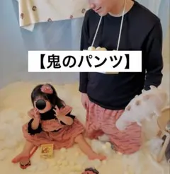 【新品】鬼のブルマ　鬼のパンツ　ウェブ限定　節分　3coins