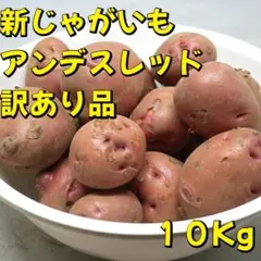 A-STYLE 新じゃがいも アンデスレッド 訳あり品　１０ｋｇ　２のサムネイル