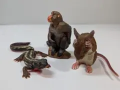 Item thumbnail for item bb11767d-bf67-4dc9-b16e-77002453bfec