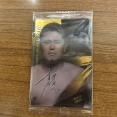 2026年最新】上田幹雄の人気アイテム - メルカリ