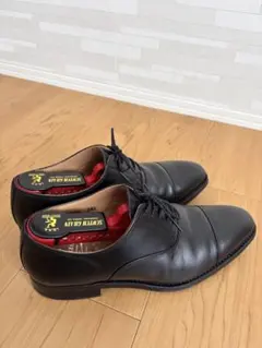 Item thumbnail for item 0872d583-3cf3-4e60-953b-22ba7ea325e4