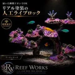 Reef Works プラグ穴付き樹脂製人工ライブロック サンゴ海水 レプリカ2