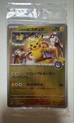 トウホクのピカチュウ