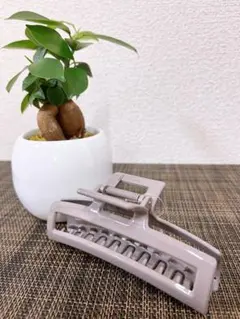 Item thumbnail for item de67526f-da9a-4ac7-9545-ac8fece4c06c