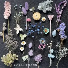 ✤花材セット6✤ブルーパープル系たっぷり15種以上✤プリザーブド✼ドライ