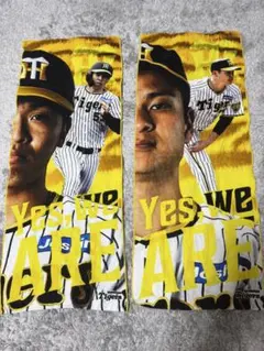 Item thumbnail for item 6d120f5d-3d81-4d2f-af65-593e4d4995f8