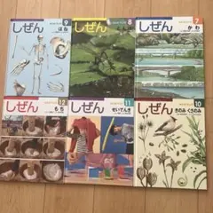 キンダーブック しぜん 1~12セット 12冊セット 絵本 図鑑 こども