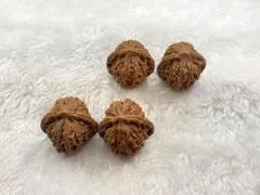 Item thumbnail for item 4b159982-1385-4735-9337-6eee0d9634ce