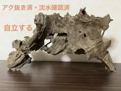 T*T様 アク抜き済み流木 No.100 レア型 沈水確認済み - メルカリ