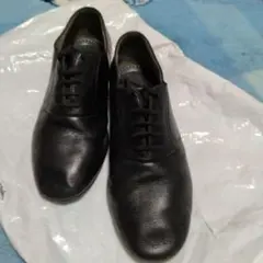 Item thumbnail for item 1baa0f58-8eec-4def-acff-4666260710ab