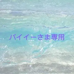 バイイーさま専用