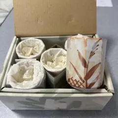 植物模様 湯飲み 5個セット