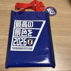 3COINSサッカー日本代表レジャーシート 収納バッグ付SAMURAI BLUE