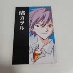 貴重品！新世紀エヴァンゲリオン 渚カヲル カード