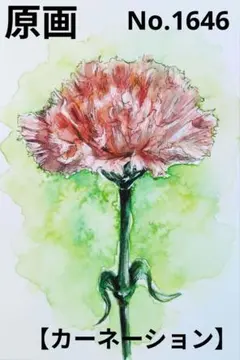 【カーネーション】手描きイラスト 原画 《1646》