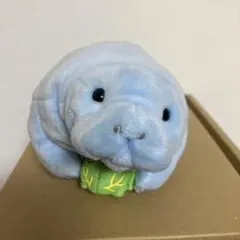 沖縄美ら海水族館 マナティー ぬいぐるみ