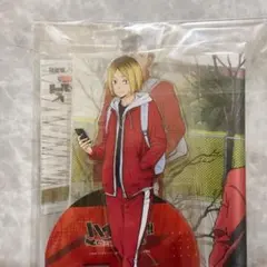 劇場版ハイキュー ゴミ捨て場の決戦　TaS特典