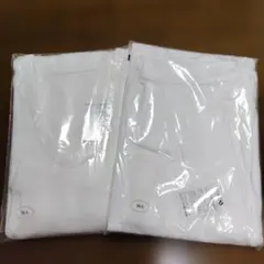 Item thumbnail for item 700ca181-954b-473d-bd7f-f0c15360e314