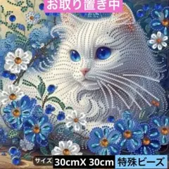 ☆専用☆ダイヤモンドアート特殊ビーズ 花の中の可愛い少女 - メルカリ