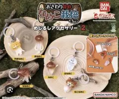 なめこ栽培キット めじるしアクセサリー 2 コンプリートセット