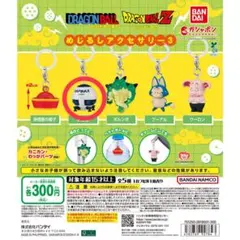 めじるしアクセサリーセット