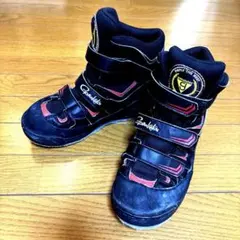 Item thumbnail for item 14256d85-4ec5-4612-a0f6-1edee292826e