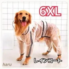 Item thumbnail for item b07a2228-c0f2-40d5-a28e-05741cfd5063