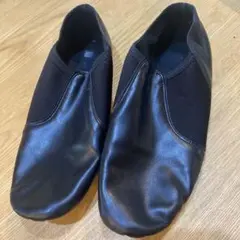 Item thumbnail for item 39bfb25d-4d74-4760-82ac-2a13dc5400dd