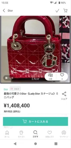 「超入手困難」国内在庫無【数回使用のみ】レディディオール