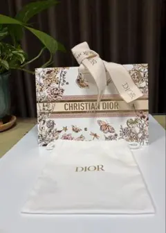 CHRISTIAN DIOR ショップ　リボン付ギフト袋　布巾着袋　2点セット