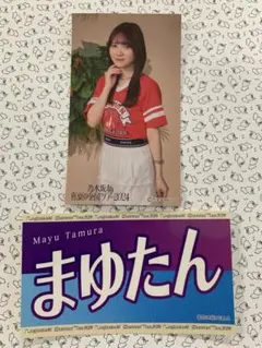 乃木坂46 真夏の全国ツアー2024 個別ランダムステッカー2枚セット　田村真佑