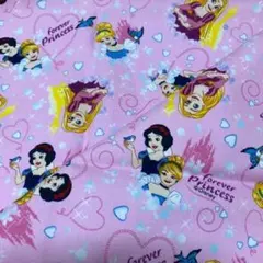 No.10 ⑩①【ディズニープリンセス柄】オックス生地　ハギレ 50cm