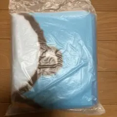 SNOOPYミスド福袋ブランケット 青