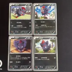 ゾロアまとめ売り