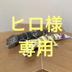 Item thumbnail for item ece90609-3167-4281-906d-1606d4f25acc