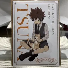 家庭教師ヒットマンREBORN! The cat A5ポストカード ツナ