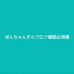 ぽんちゃんず☆プロフ確認必須様専用です