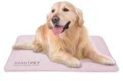 Item thumbnail for item 8b00ae72-3082-4b78-9e44-7ad634105657