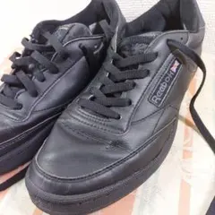 Item thumbnail for item 49f37d3e-b5f6-4e78-b051-4d1863cf83c6