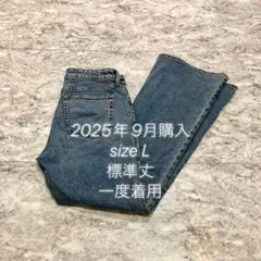 【美品】GU スリムフレアジーンズ　Lサイズ 65 BLUE