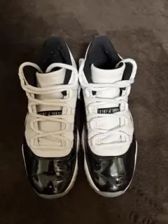 Air Jordan 11