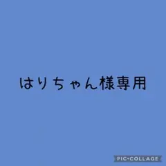 はりちゃん様専用