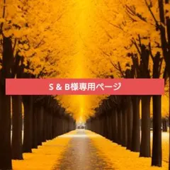 S & B様専用ページ