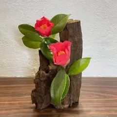 1248 流木インテリア 花瓶 一輪挿し 花器 盆栽