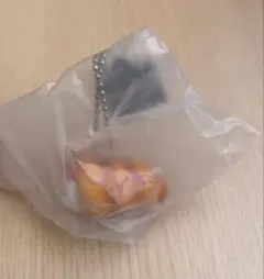 Nuiパン ディズニーキャラクター　ミニチュアキーチェーン デイジーダック④