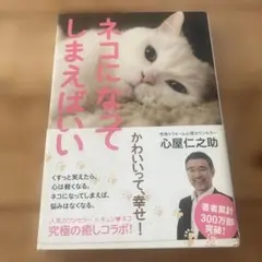 ネコになってしまえばいい