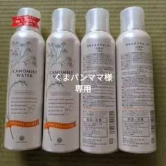 Item thumbnail for item cf26380f-d25e-40b9-8742-5e17fc47b089